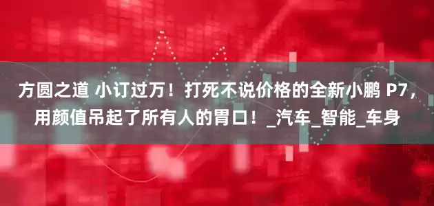 方圆之道 小订过万！打死不说价格的全新小鹏 P7，用颜值吊起了所有人的胃口！_汽车_智能_车身